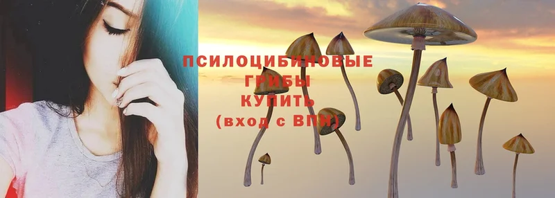 ссылка на мегу зеркало  Балашов  Галлюциногенные грибы Magic Shrooms 